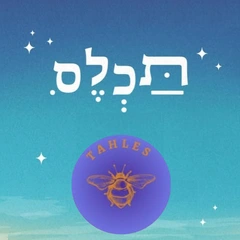 אלון רכס